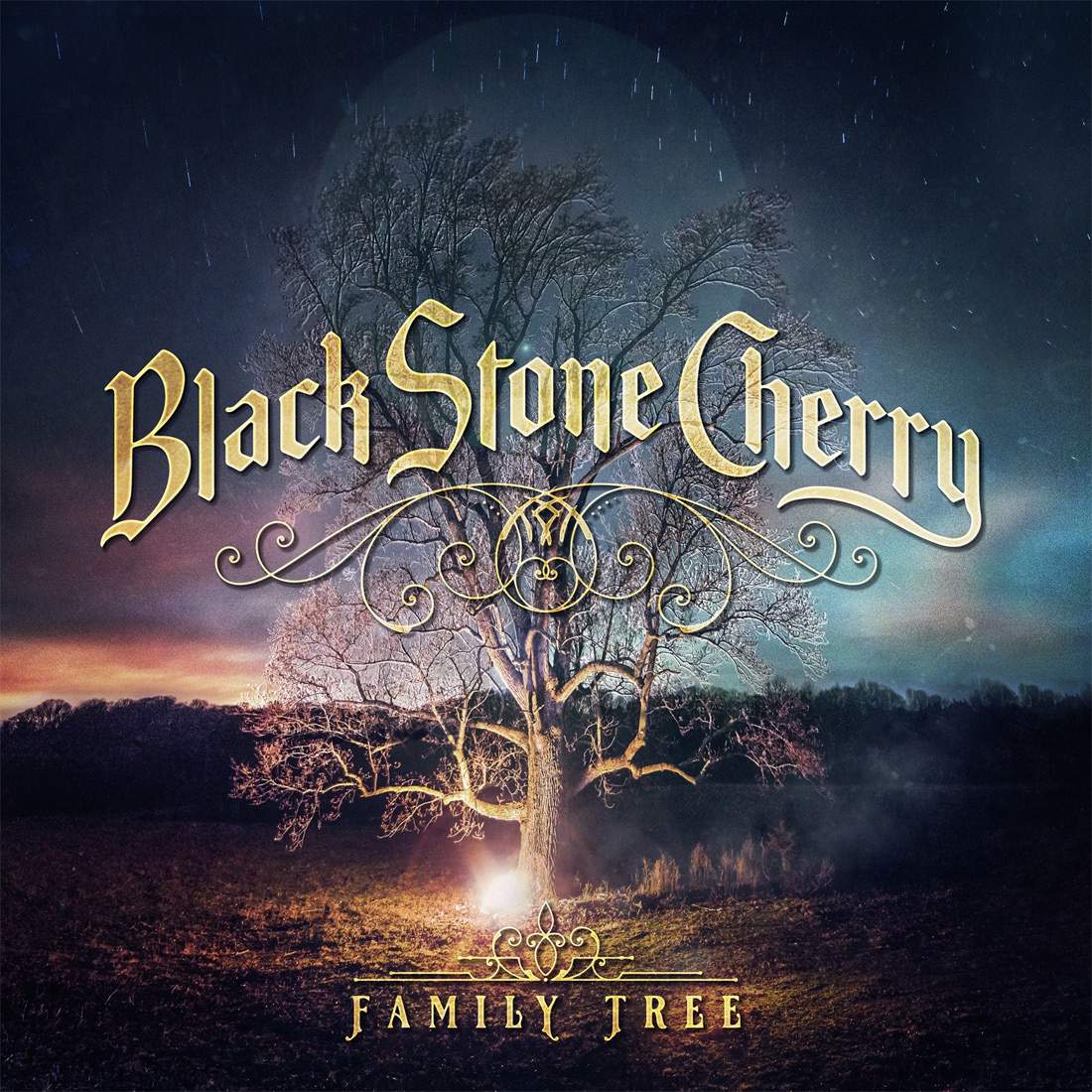 BLACK STONE CHERRY Alle zwei Jahre ein neues Album • metal.de