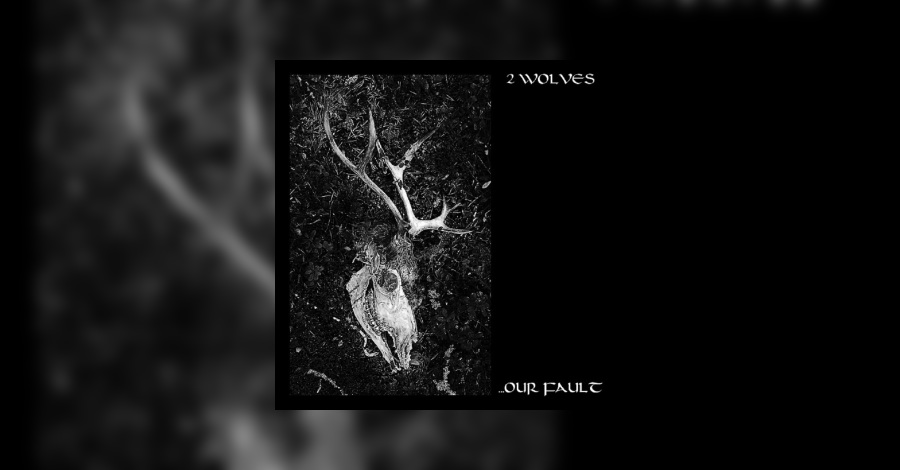 ...Our Fault Cover