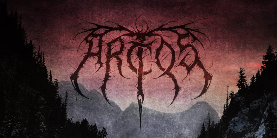 REVIEWS METAL DE visual data 6