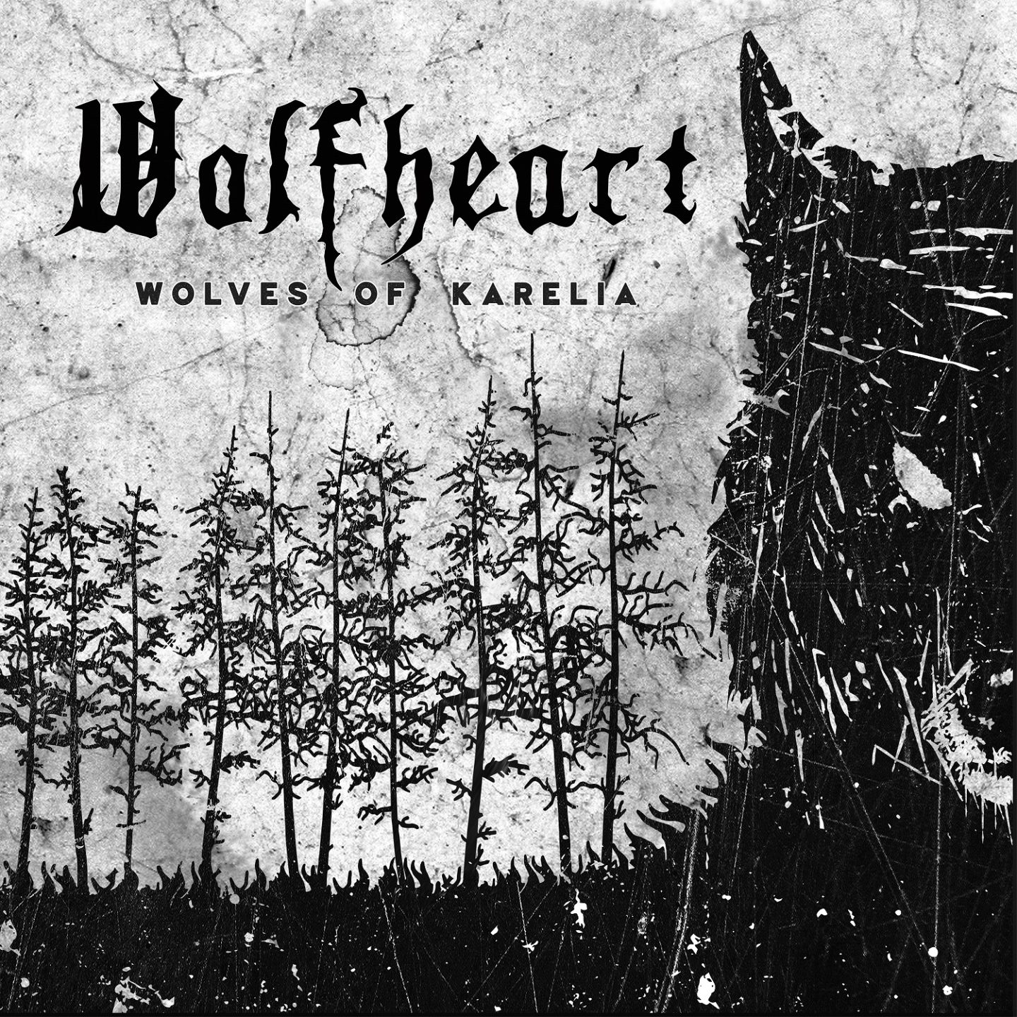 Wolfheart King Of The North Review • die Review metal.de