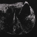 Demon Head - Viscera Cover