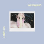 Lantlôs - Wildhund Cover
