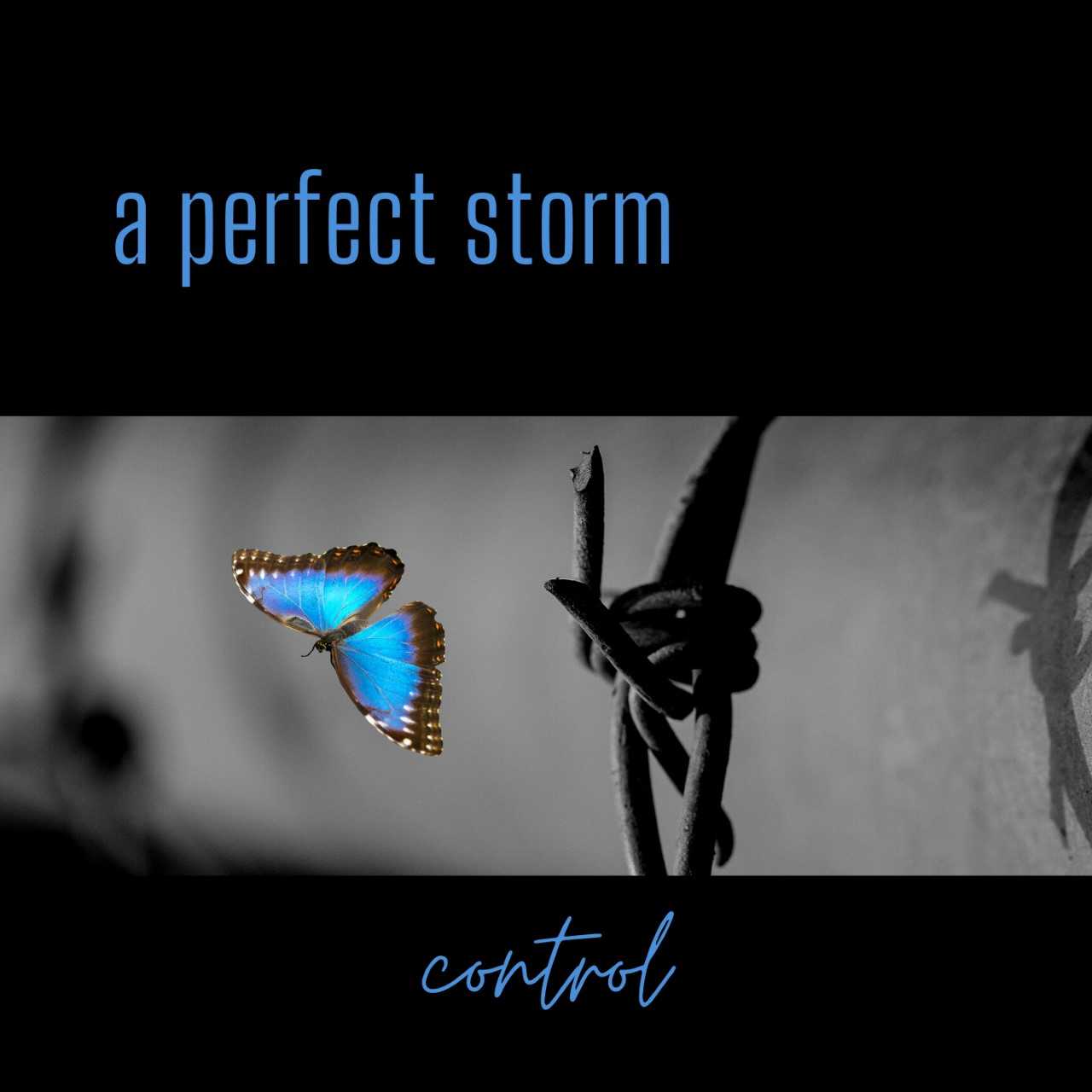 Storm control. A perfect Storm - 2022 - Control. Crossing Rubicon - perfect Storm (2022). Перфект Блю. A perfect Storm idiom.