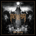 Perish - The Decline Cover