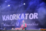 Konzertfoto von Knorkator - Rockharz Open Air 2022 Jahr